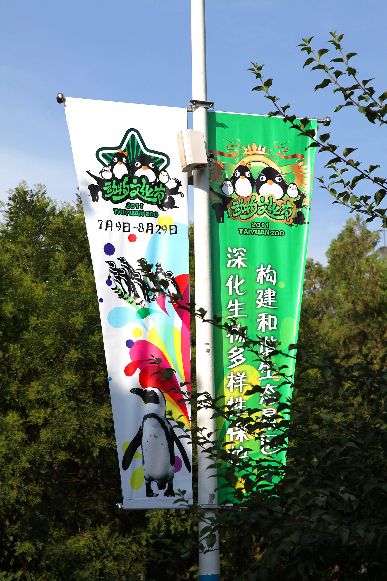 太原动物园动物文化节