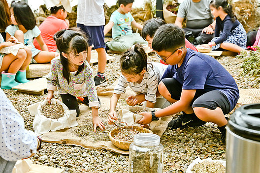 瑞吉欧.马拉古奇的探索花园