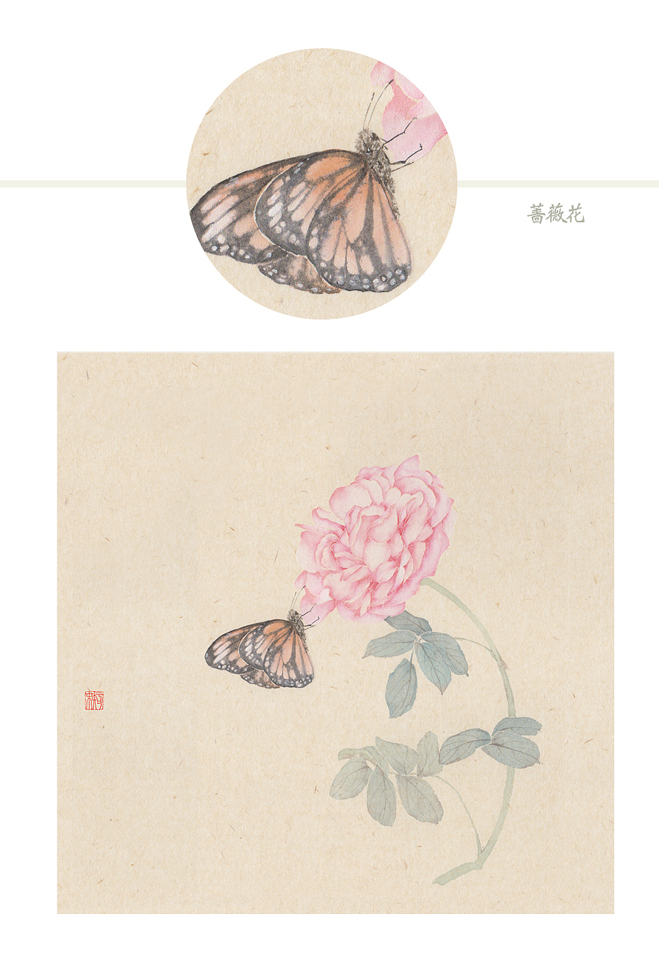 一组没骨蝴蝶附蝴蝶出现过程