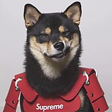 Quinn_S的头像