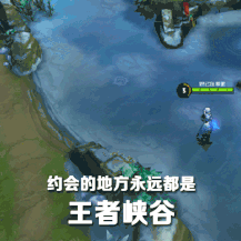 哈林熊表情包(真人)