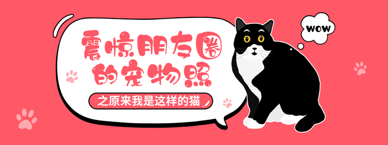 banner（图ZMTg5MzQyMjY0） - APP界面 - 站酷设计师是小呀原创素材 - 站酷ZCOOL