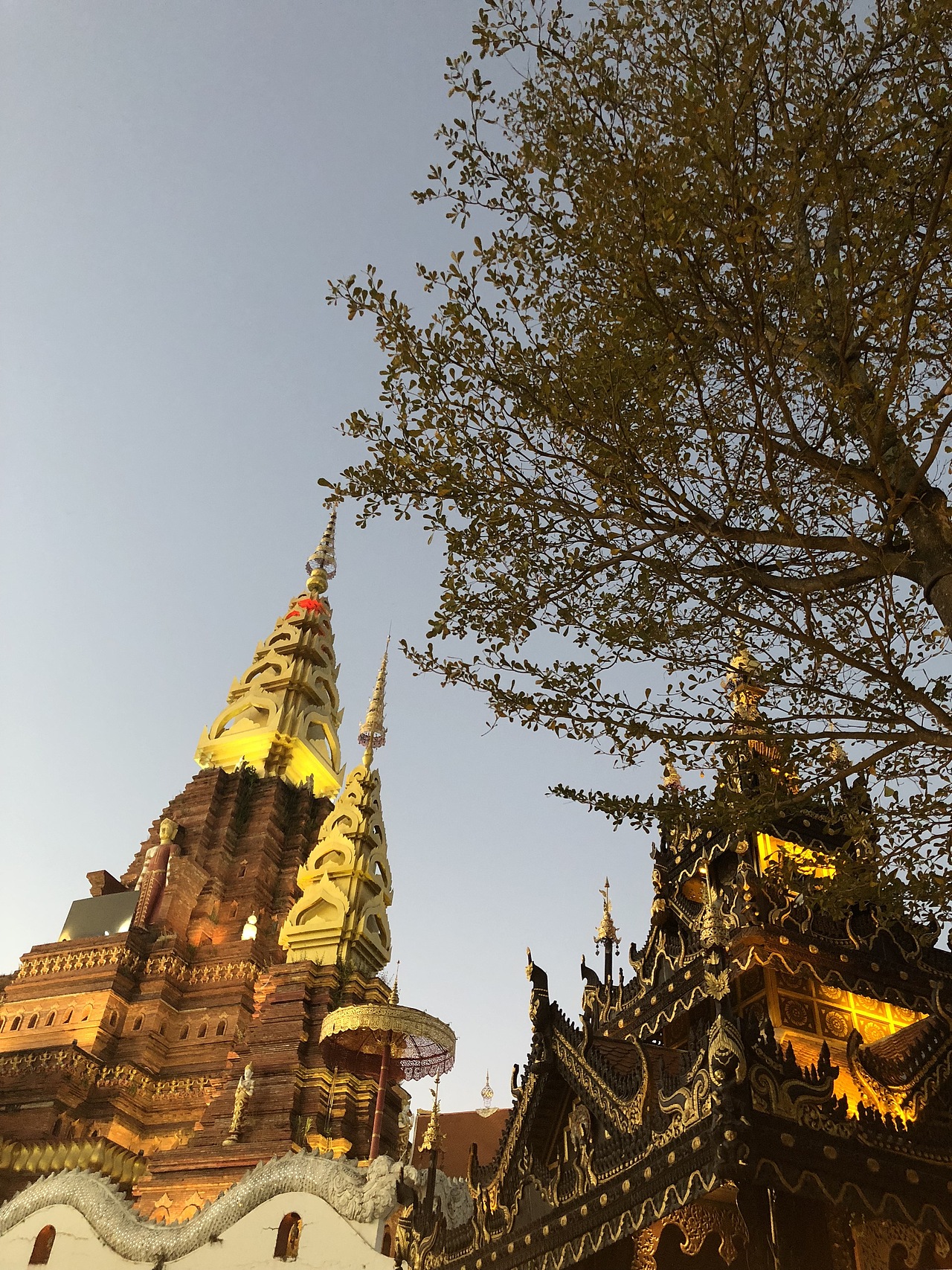 西双版纳📱游客照（图ZMTY1ODMxNzAw） - 人文/纪实摄影 - 站酷设计师1二叁拾原创素材 - 站酷ZCOOL