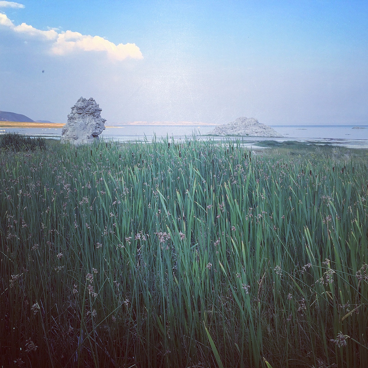 我的Iphone相册-美利坚拾景记（II）（图ZNTA2MjE5ODA=） - 环境/建筑摄影 - 站酷设计师北邦原创素材 - 站酷ZCOOL