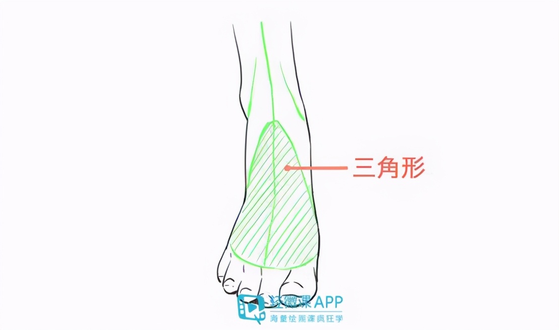 脚部结构如何绘画 脚部结构绘画教程 设计文章 站酷 Zcool