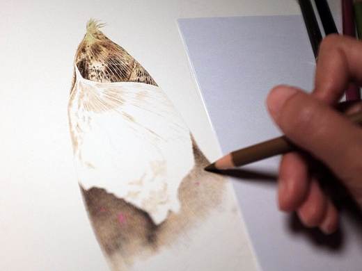 三個(gè)吃的（個(gè)人主頁(yè)-ZMzY1NDcyMDQ=） - 繪畫 - 站酷設(shè)計(jì)師卑鄙的噗噗原創(chuàng)素材 - 站酷ZCOOL