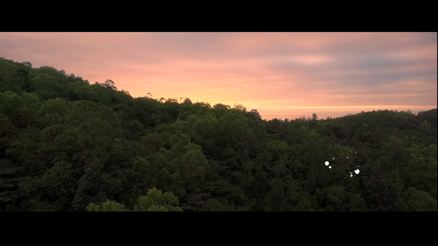 AE 文字动效（图ZOTY1OTE0MjA=） - 动效设计 - 站酷设计师姨妈鸭鸭原创素材 - 站酷ZCOOL