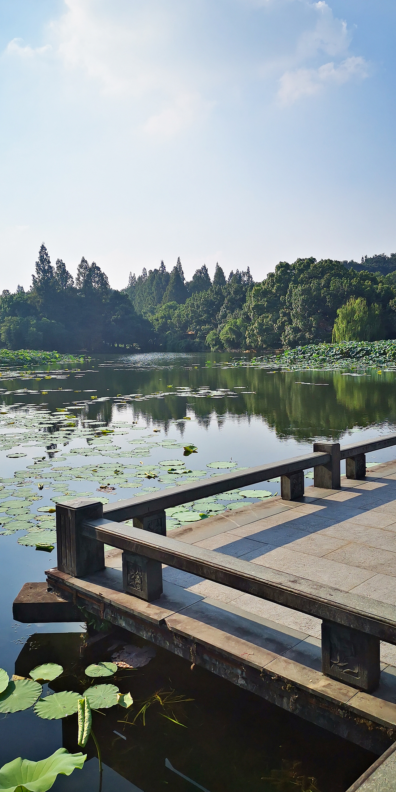 西湖风光 手机摄影