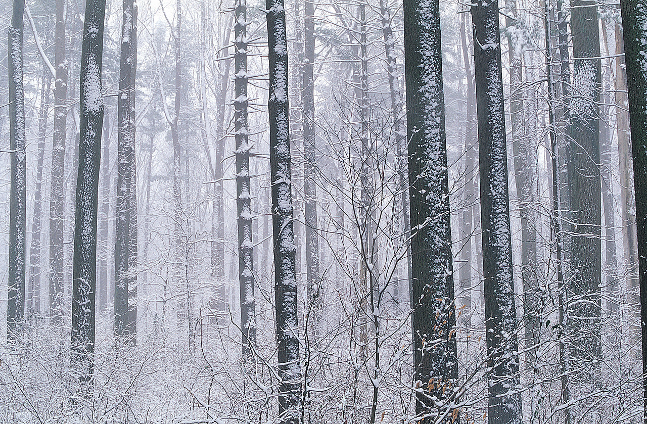 自然风景（图ZMjU1NDA1NzI0） - 风光摄影 - 站酷设计师77吖吖原创素材 - 站酷ZCOOL