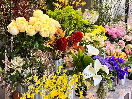 春日fafa記錄（個人主頁-ZNTg1NzY4OTY=） - 風(fēng)光攝影 - 站酷設(shè)計師夏季版趙燒小雞腿原創(chuàng)素材 - 站酷ZCOOL