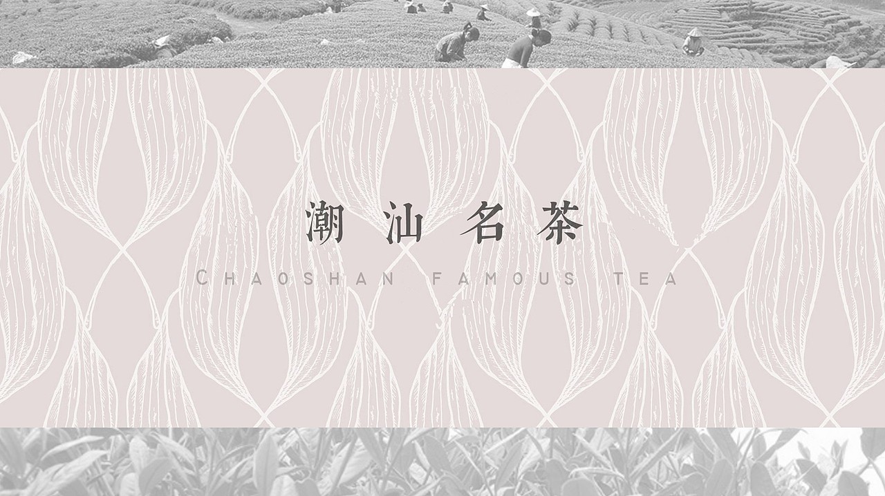 潮汕之《凤凰单枞茶》（图ZMTY1MTU3NjEy） - 其他平面 - 站酷设计师RACHEL金桔柠萌原创素材 - 站酷ZCOOL