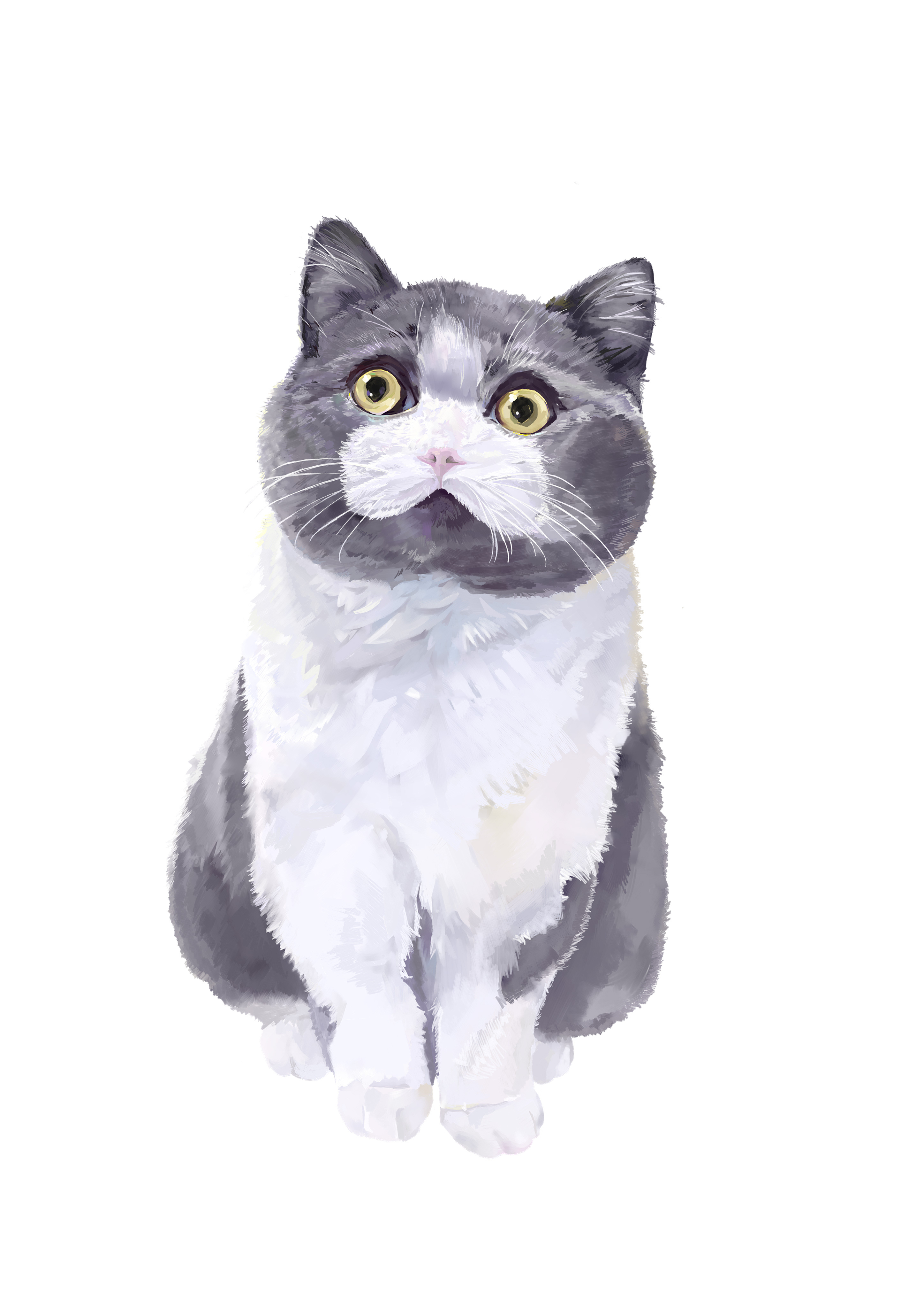 erwin schr02dingers cat(薛定谔的猫)——狼人杀|插画|创作习作