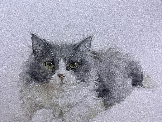 水彩画猫（个人主页-ZNjYwMTUwMjQ=） - 绘本 - 站酷设计师小徽徽的画本原创素材 - 站酷ZCOOL