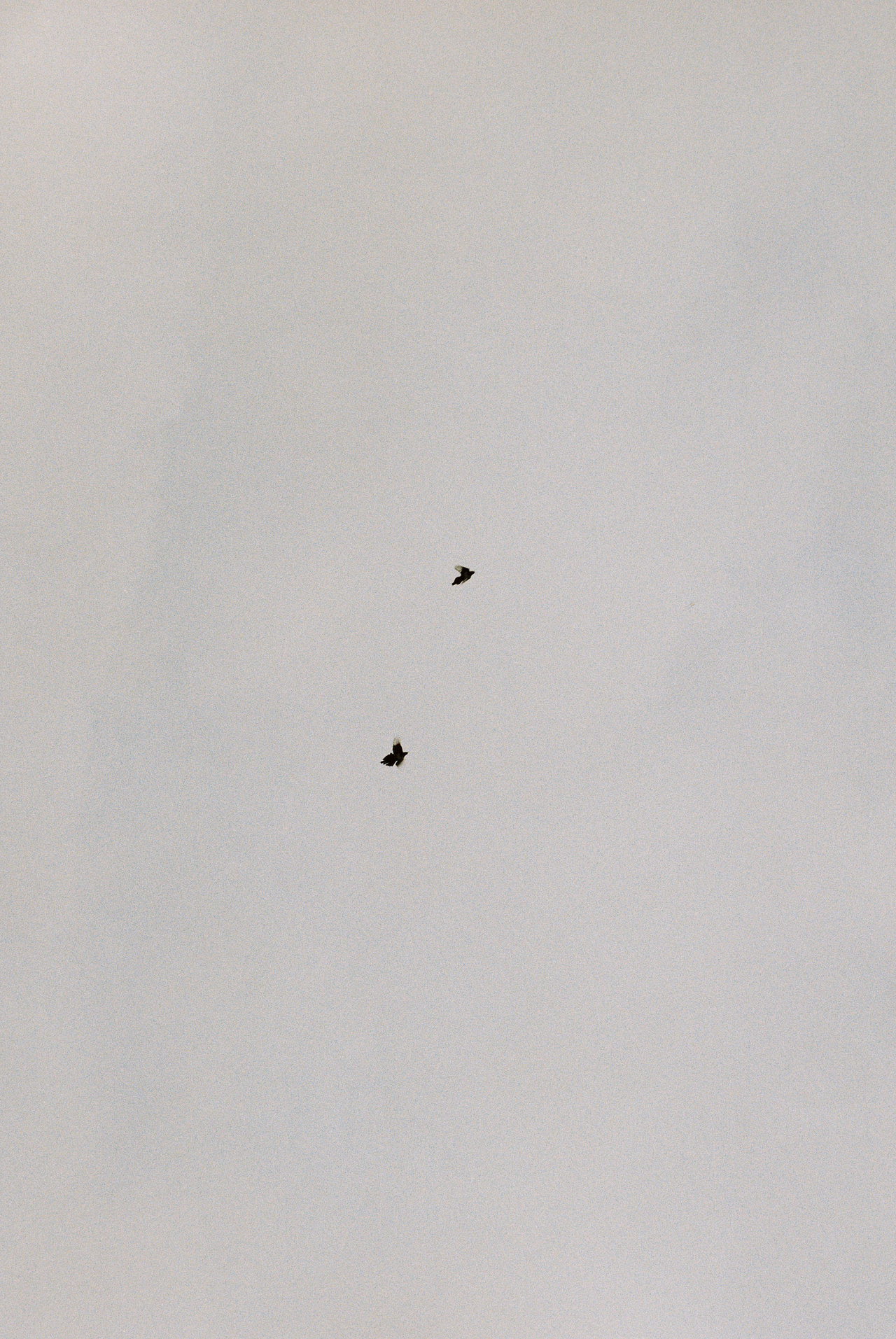 2018胶片扫街-夏