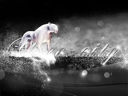 与谁同行 决定高度