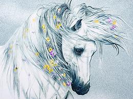 刺绣艺术作品翻拍