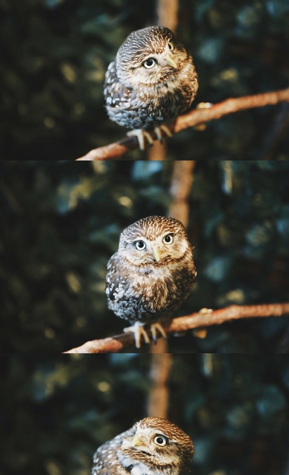 刘浪摄影作品《路灯之影》