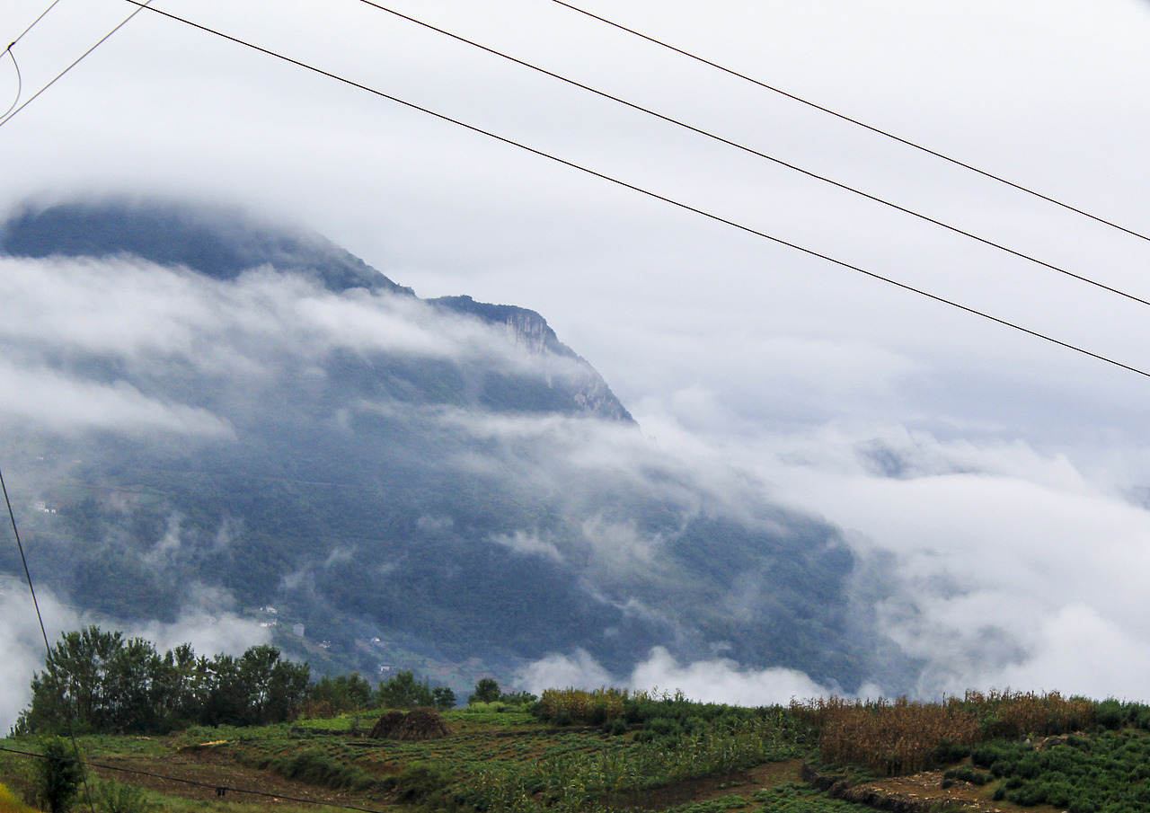 云雾深处有人家