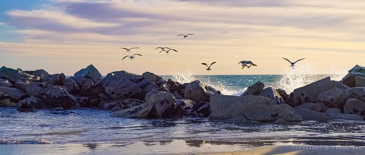 街拍游记 - 美西掠影