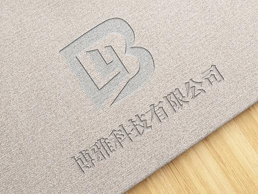 博雅科技LOGO设计