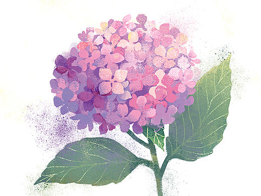 花匠与花