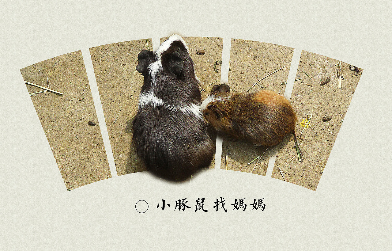 奇珍记 动物园特辑