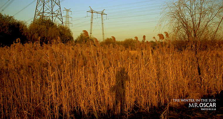 拍点什么好（图ZMjA0ODU3Mg==） - 人文/纪实摄影 - 站酷设计师oscarzhan原创素材 - 站酷ZCOOL