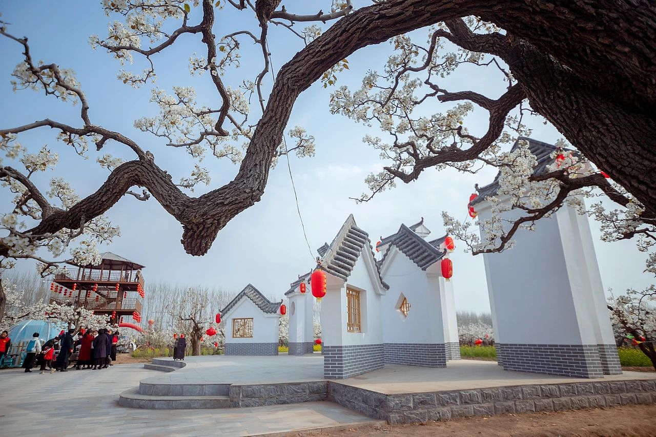 三月二十六日东南温梨园采风