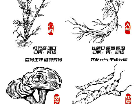 中药材元素｜包装插画｜中药插画
