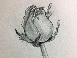 设计手稿