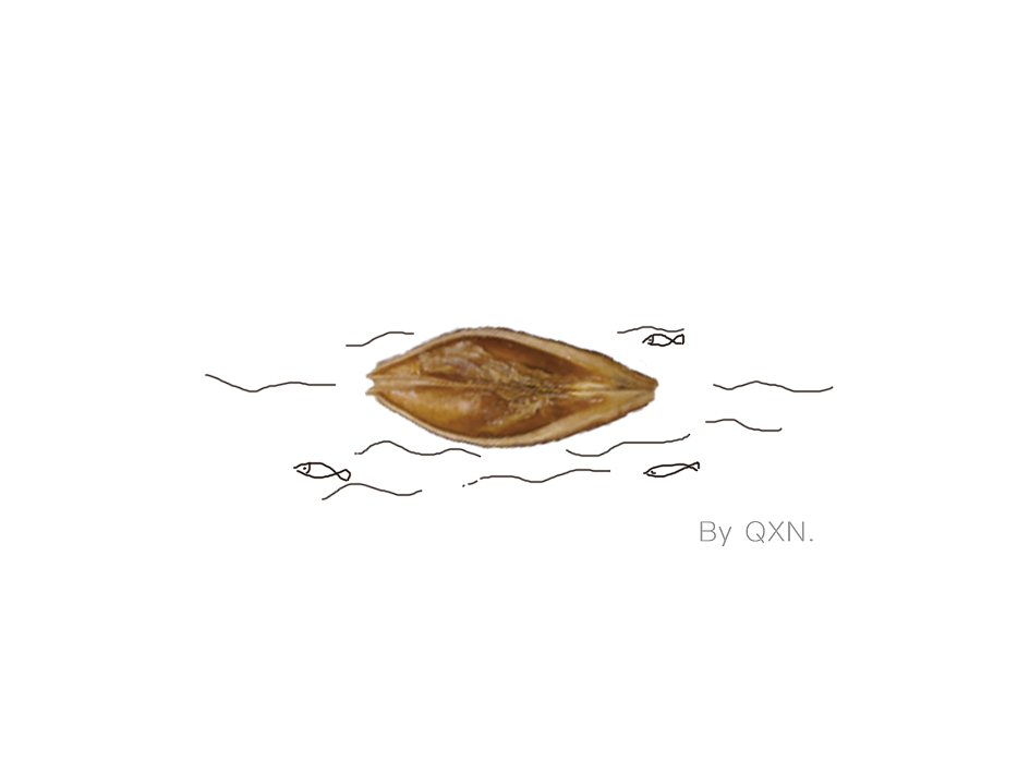 中药也能萌萌哒【创意画三】（图ZNjA4MTQzMDQ=） - 艺术插画 - 站酷设计师冬天吃西瓜原创素材 - 站酷ZCOOL