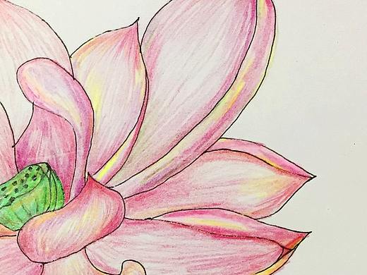 彩铅（个人主页-ZMzMzMDE1MDQ=） - 其他 - 站酷设计师那是起风了原创素材 - 站酷ZCOOL