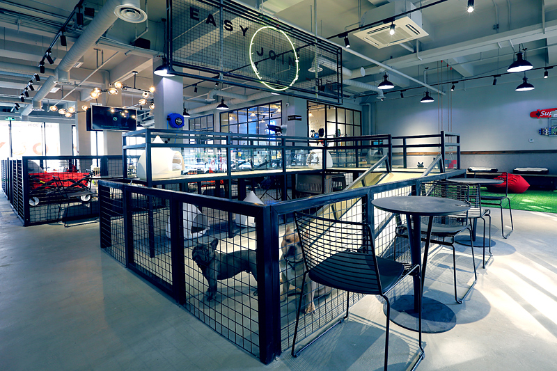 一时间宠物主题餐厅