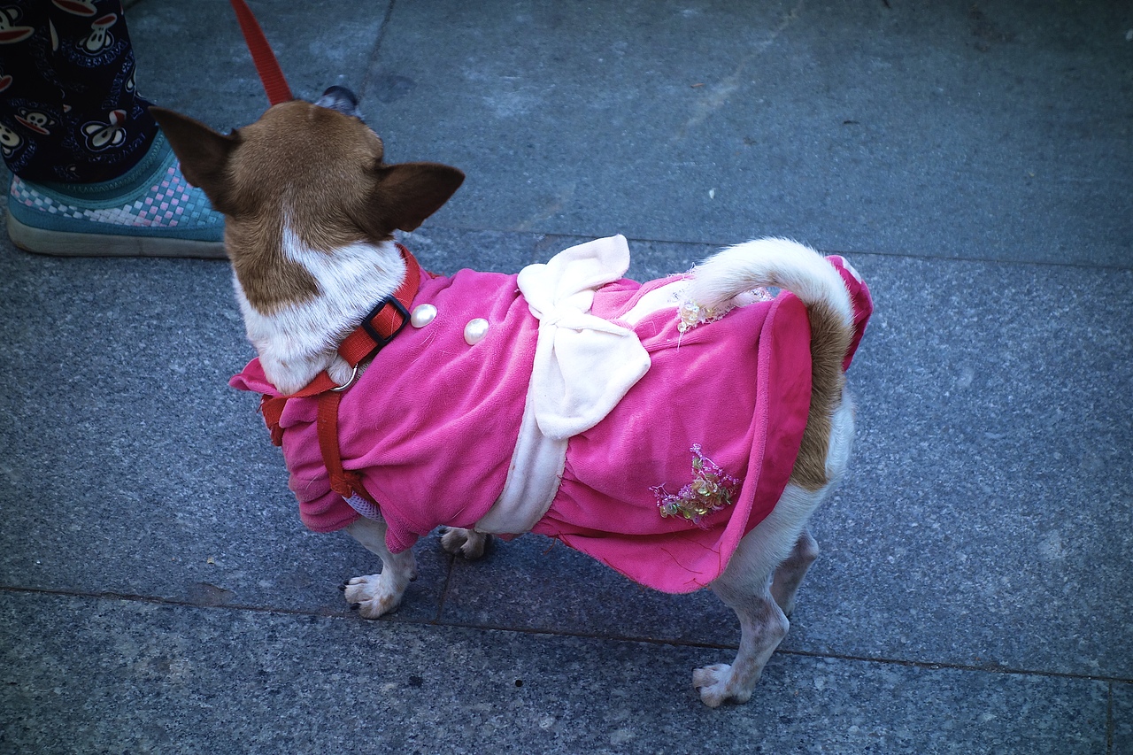 广州西门口扫街景