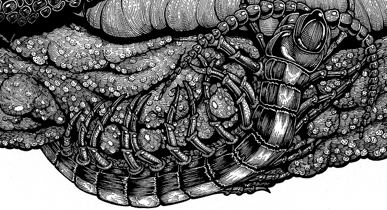 七宗罪饕餮纸本手绘高清细节