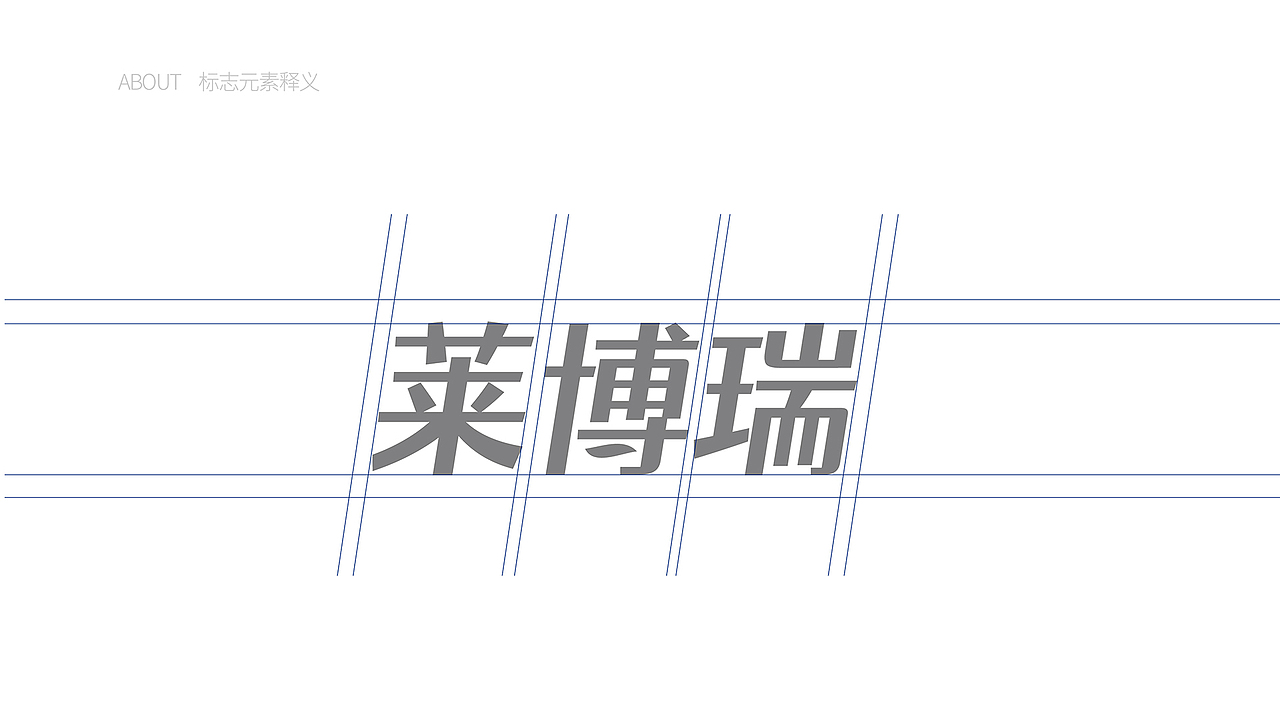 【瑞咖/品牌全案】莱博瑞 | 莱博瑞科技 超越未来