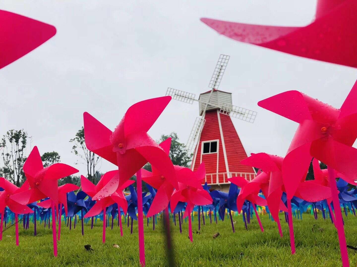 【携程攻略】景点,很漂亮很有荷兰特色的风车村，原始的风车，现在都还在使用，有部分作…