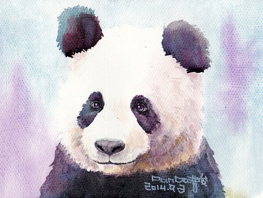 原创作品:熊猫水彩插画