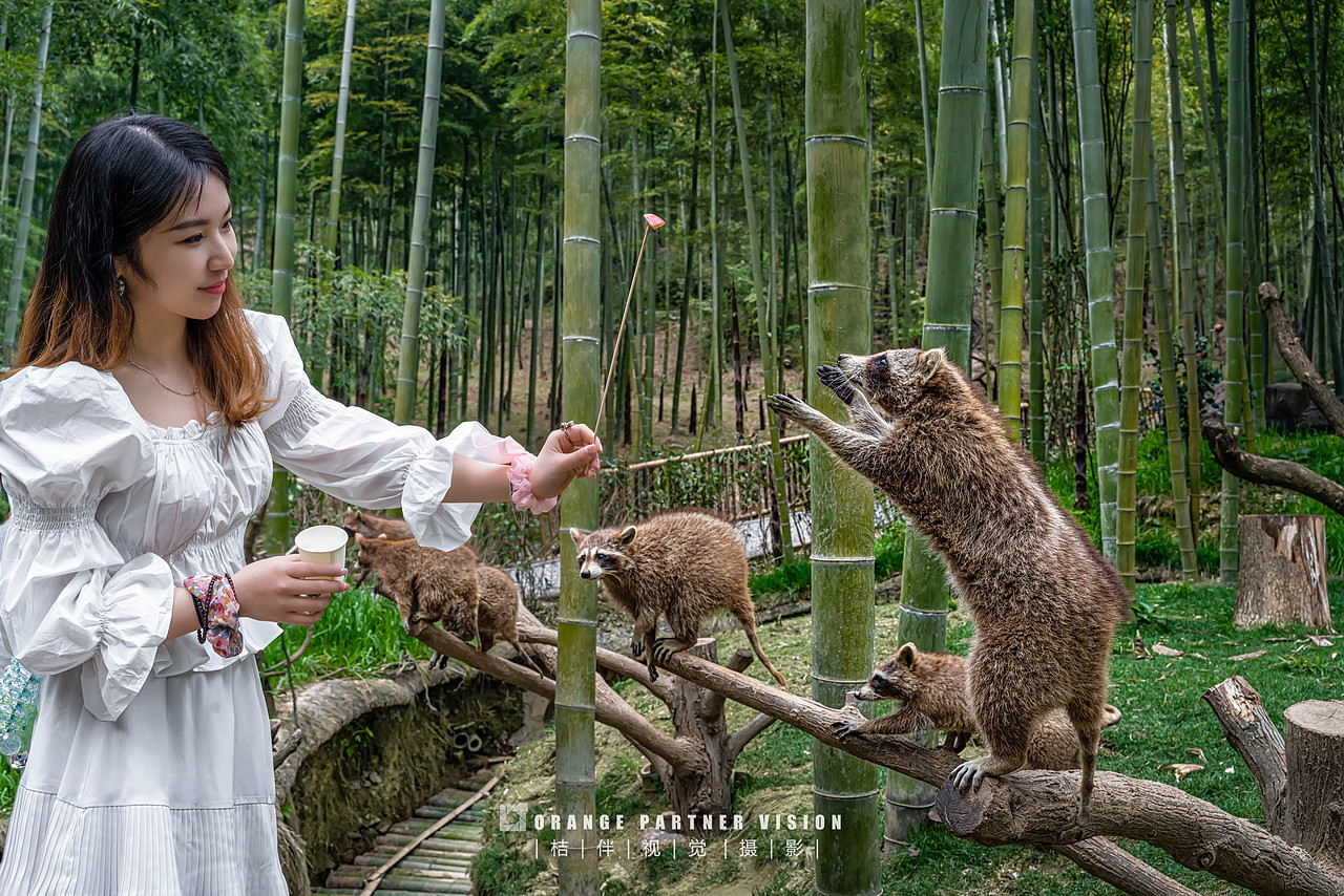 景观摄影：湖州长颈鹿庄园/桔伴视觉（图ZMjQ1MzA4OTQ4） - 环境/建筑摄影 - 站酷设计师桔伴视觉左斯洋原创素材 - 站酷ZCOOL