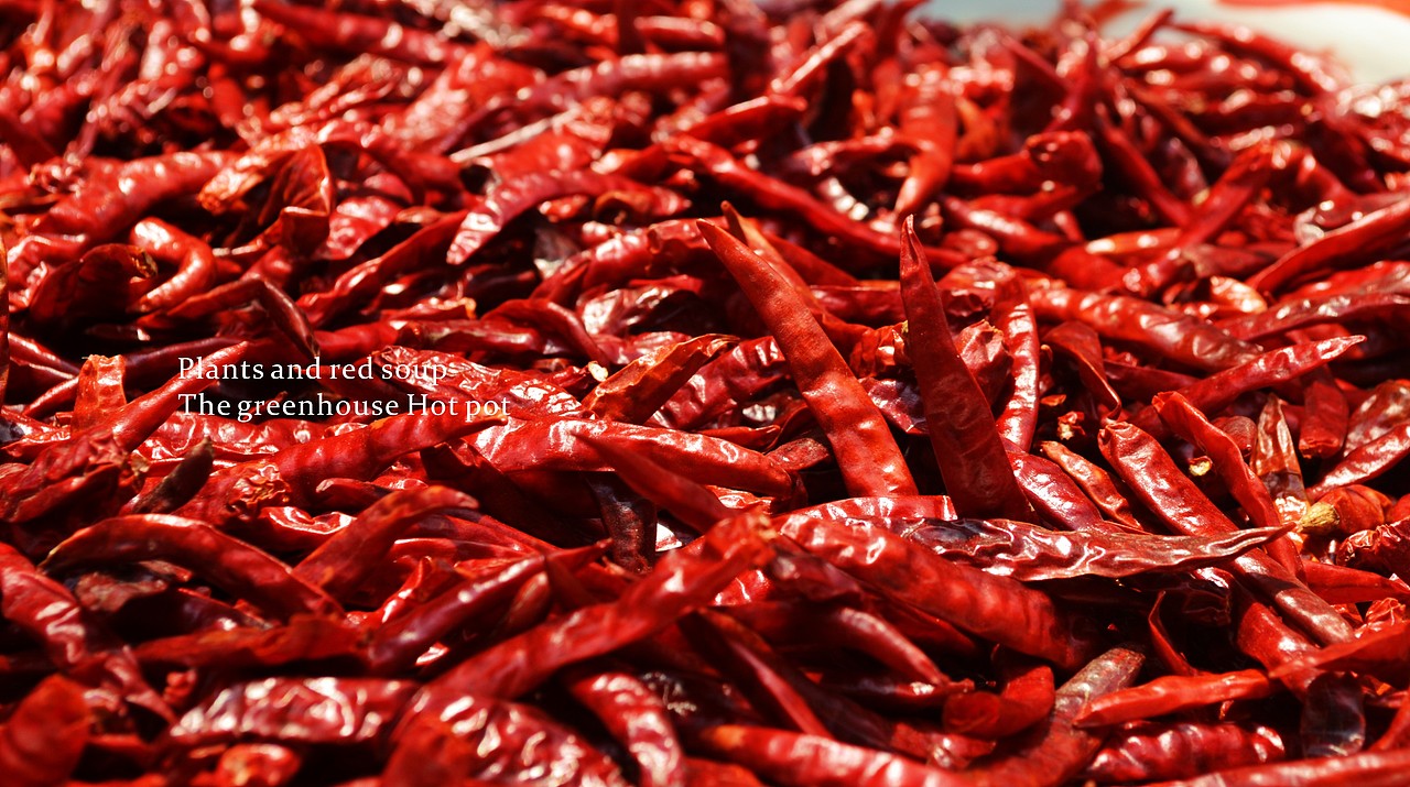 TORTOISE | 品牌集叁