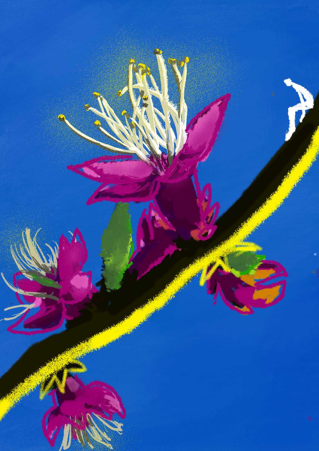 一枝花|插画|艺术插画|一瓶楂画酱 - 原创作品 - 站酷 (zcool)