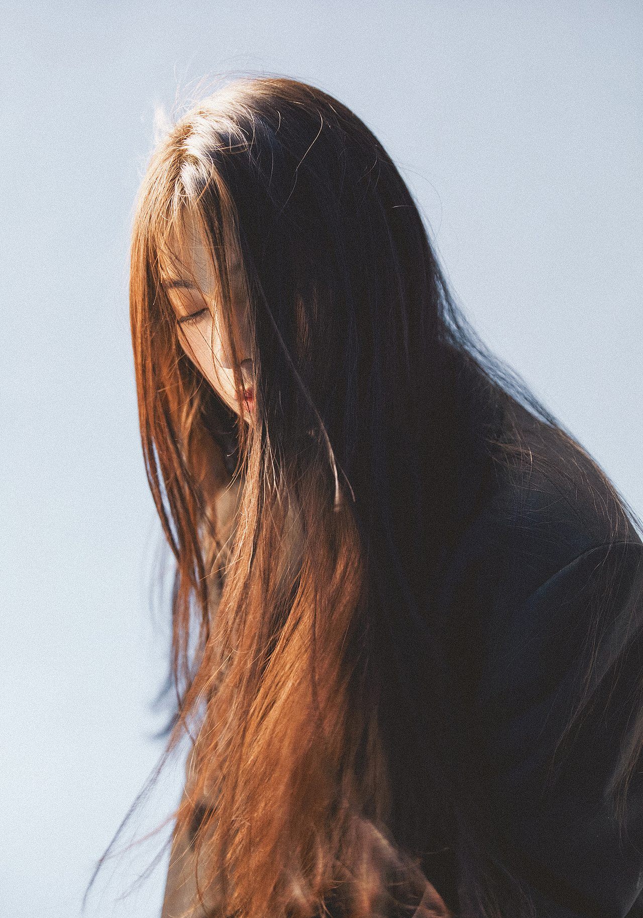 向日葵或是玫瑰