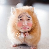 啊Q老师的头像