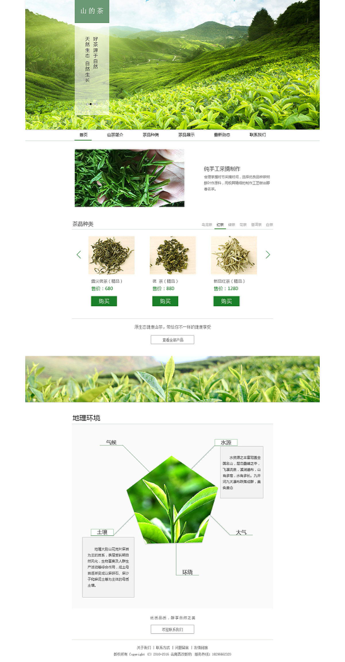 山茶网站
