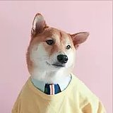 陈奴仔的头像