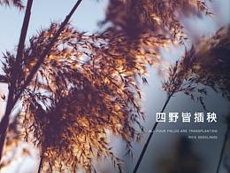 节假日