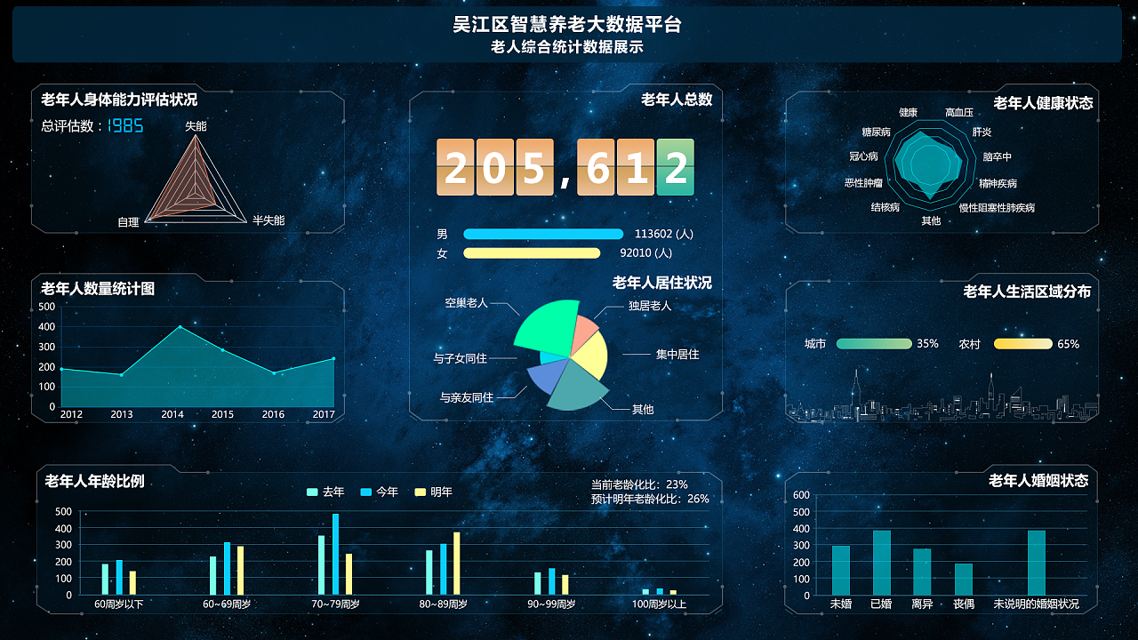 智慧养老便民大数据展示平台