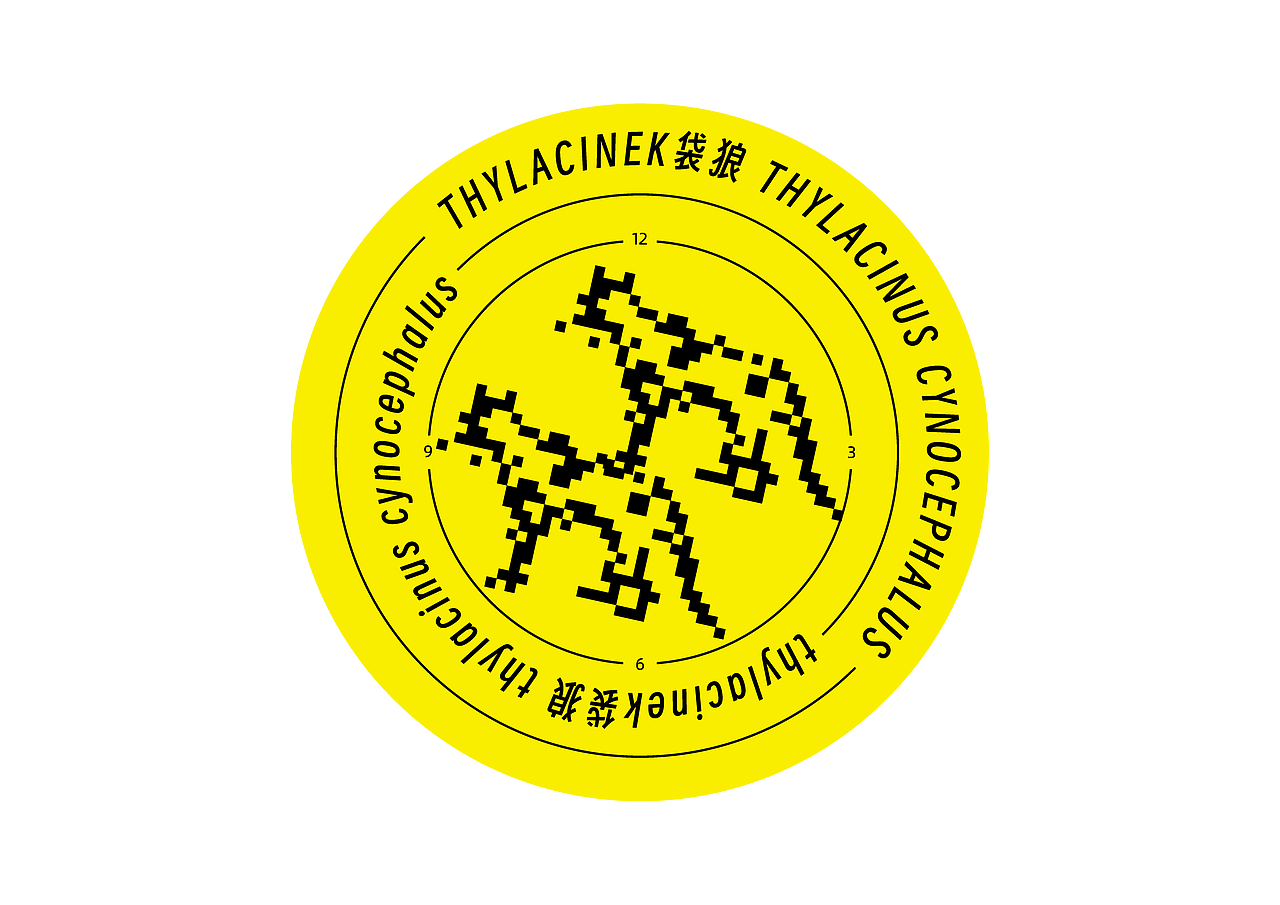 #2023 青春答卷#《白鲟》