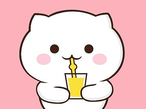 雪球猫