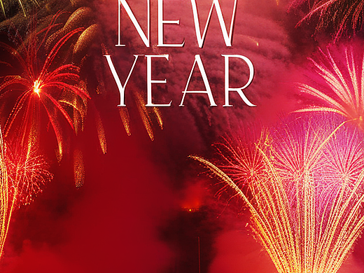 2025元旦（个人主页-ZNzExODI1ODg=） - 海报 - 站酷设计师无名小地原创素材 - 站酷ZCOOL